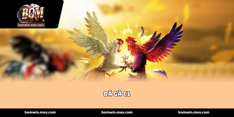 Trải nghiệm đấu trường Đá gà C1 Bomwin danh giá và công bằng